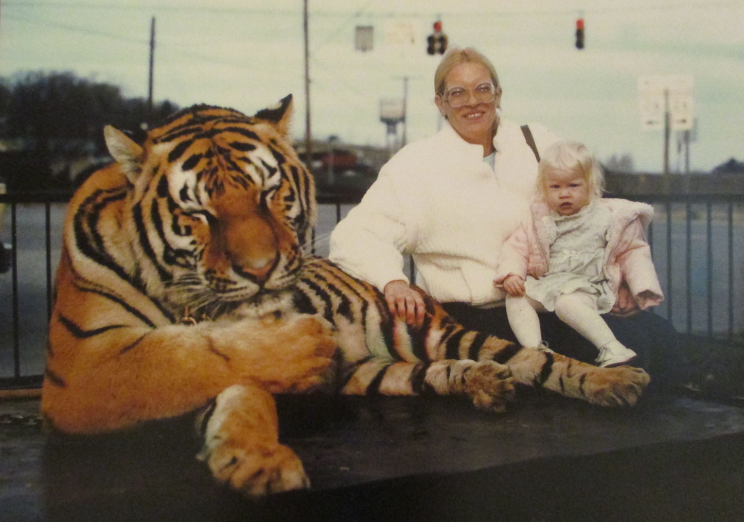 tiger mom